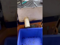 5 طبقات أزرار القميص مع في 18L استخدام على ملابس القميص الملحقات